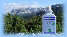 Australian Aloe Vera