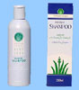 Aloe Vera Fruit Shampoo 250ml